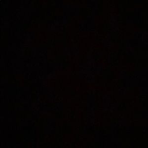 Meet your Posher, Ava